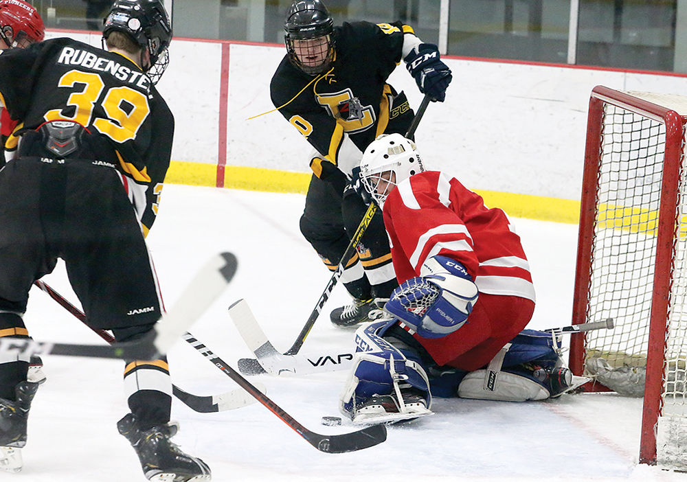 hockey1.jpg